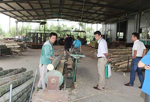 丽耐生产基地